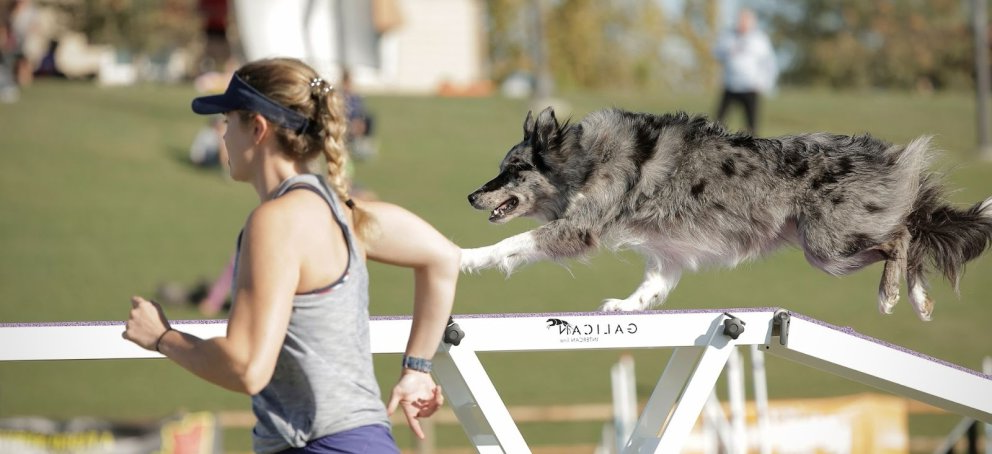 McKenzie and her dog Safari in running 